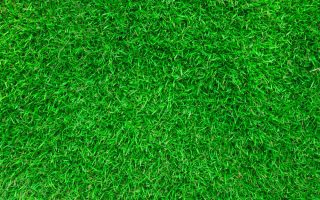 Pelouse synthétique prix m2 pour votre gazon artificiel