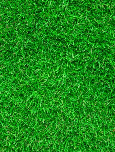 Pelouse synthétique prix m2 pour votre gazon artificiel