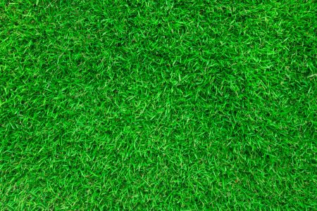 Pelouse synthétique prix m2 pour votre gazon artificiel