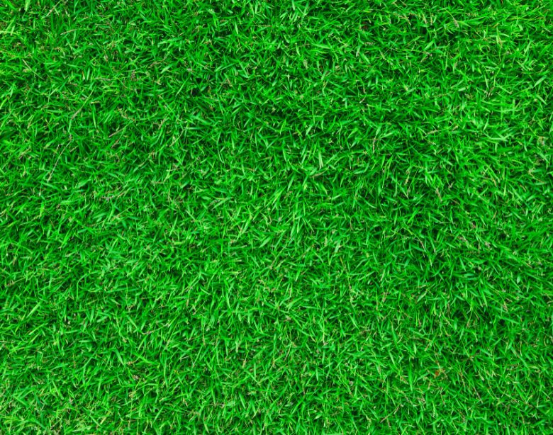 Pelouse synthétique prix m2 pour votre gazon artificiel