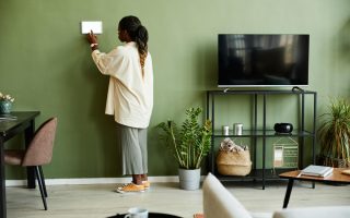 bien choisir la teinte idéale de la peinture vert pour salon pour une ambiance apaisante