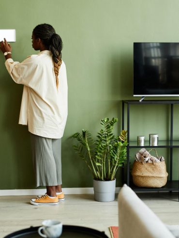 bien choisir la teinte idéale de la peinture vert pour salon pour une ambiance apaisante