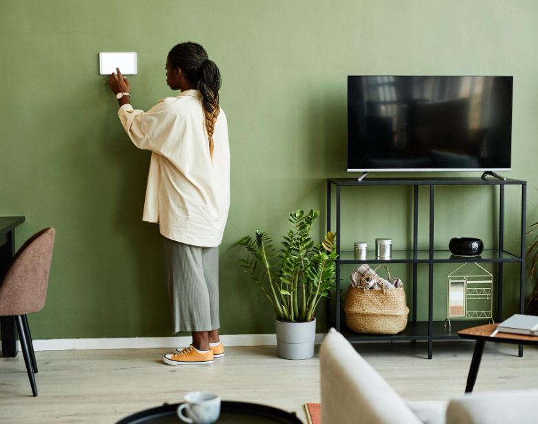 bien choisir la teinte idéale de la peinture vert pour salon pour une ambiance apaisante