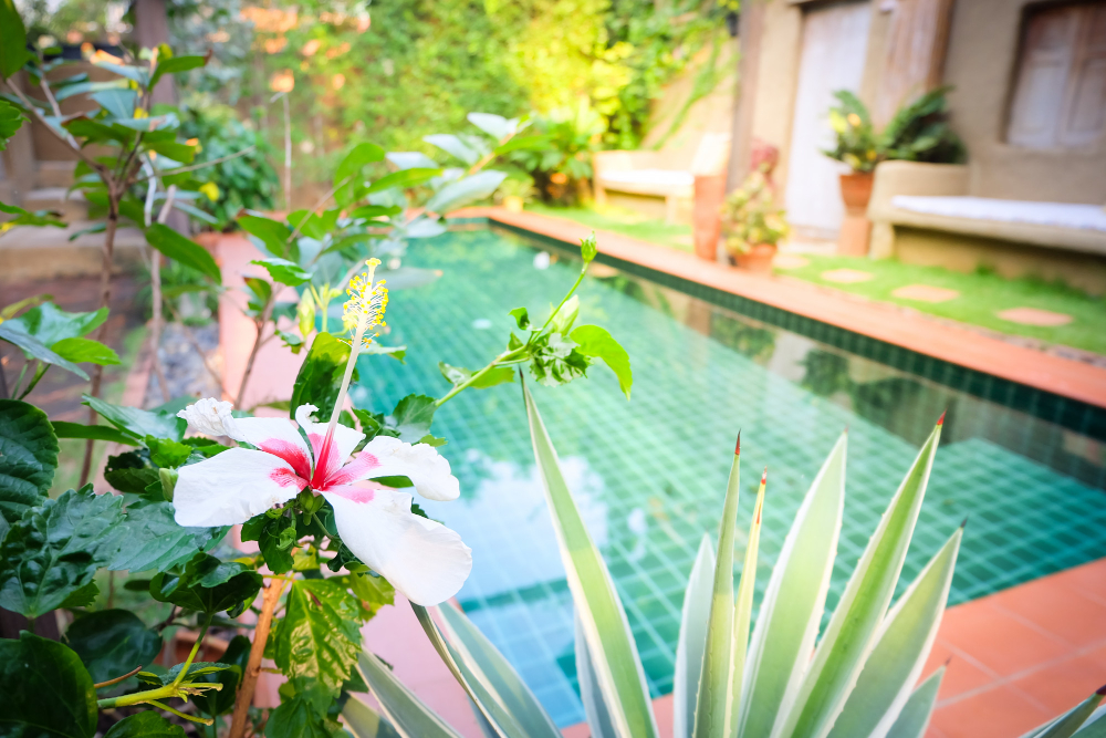 Associer design et esthétique pour une ambiance unique