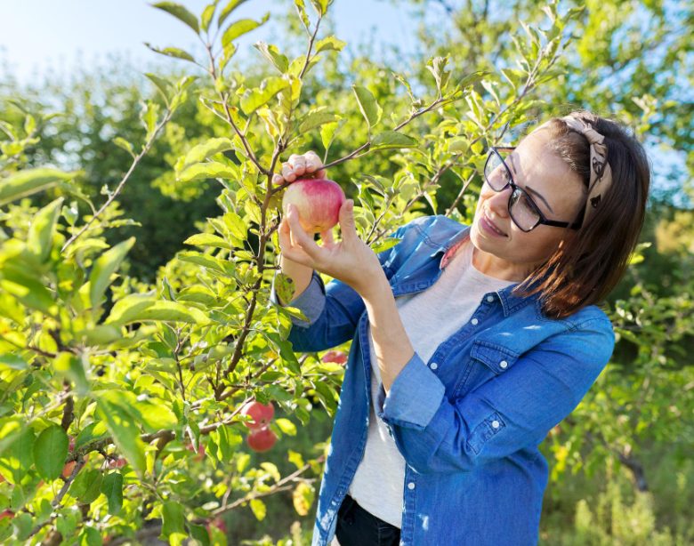tailler un pommier pour favoriser sa croissance