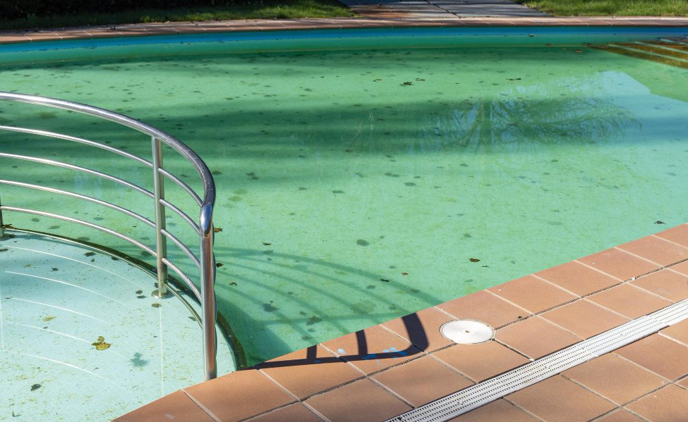 Remède de grand-mère pour traiter l'eau de piscine verte.jpg