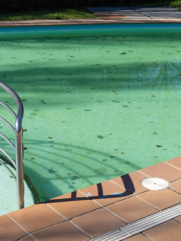 Remède de grand-mère pour traiter l'eau de piscine verte.jpg