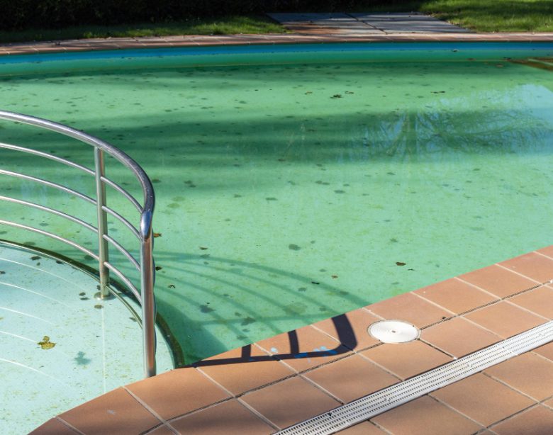 Remède de grand-mère pour traiter l'eau de piscine verte.jpg