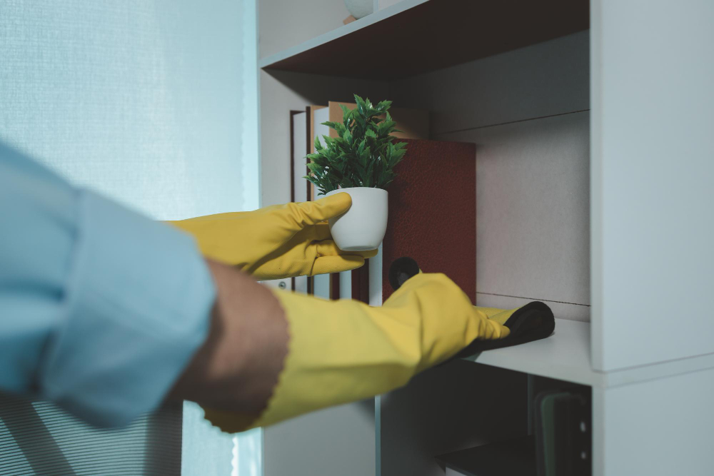 solutions pour se débarrasser de la Punaise marron dans la maison